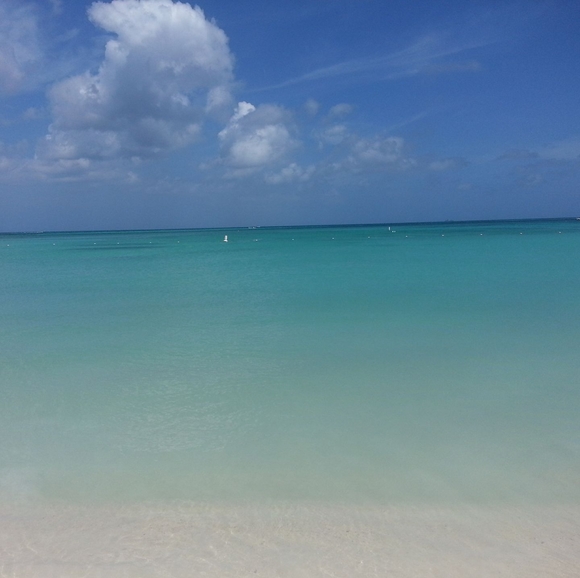 Meet your Posher, Wilbert - Picture 1 of 1